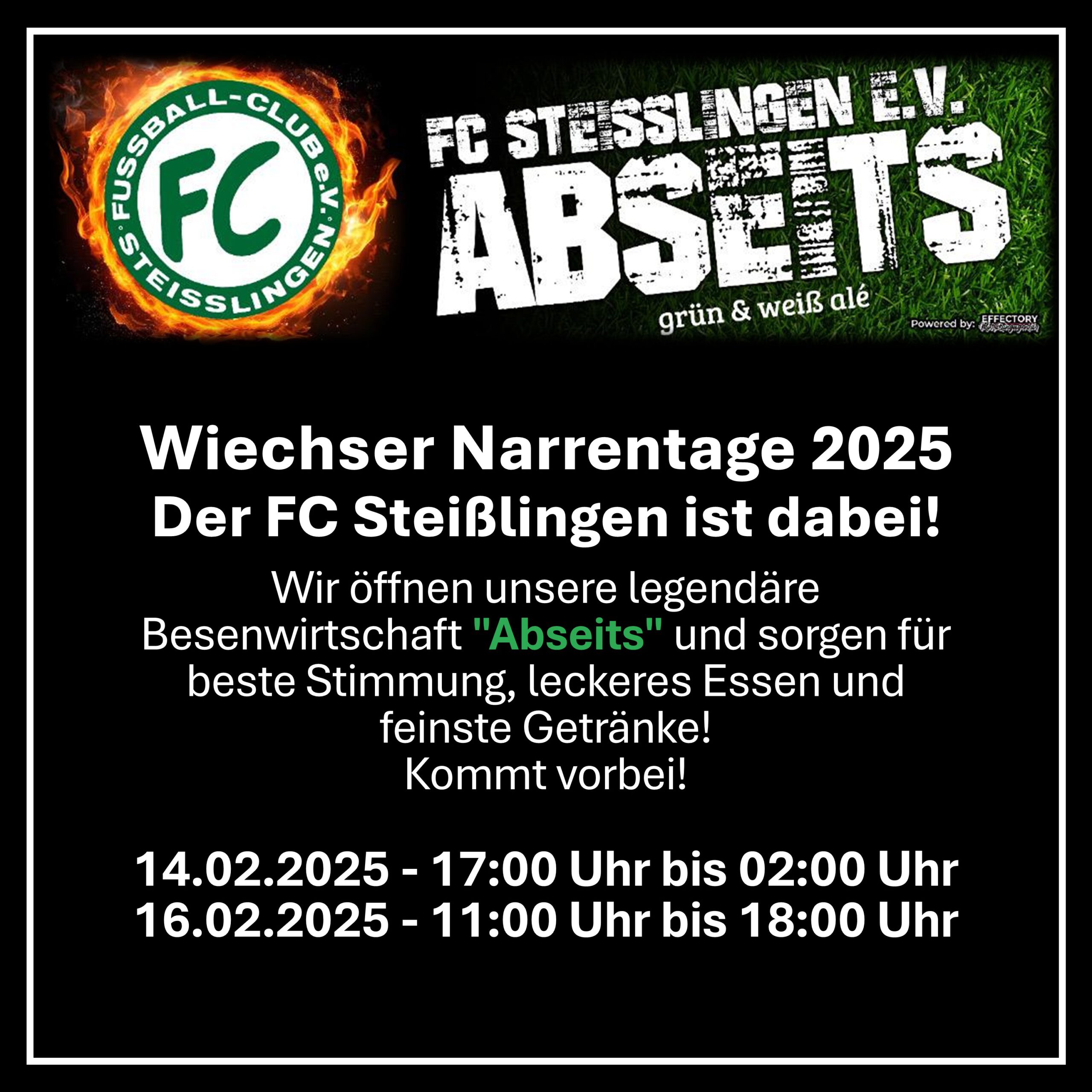 2025-02 Narrentreffen Wiechs